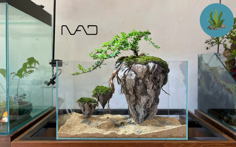 Thủy Sinh Việt