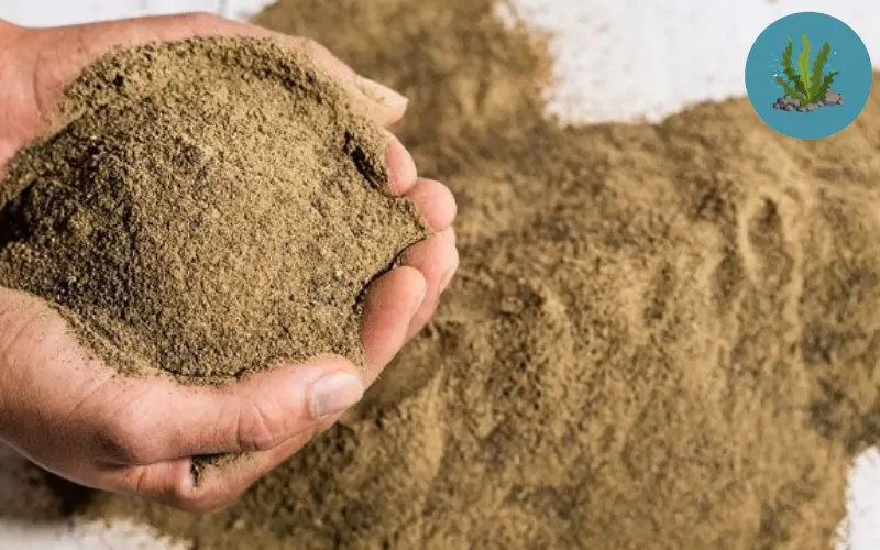 thức ăn cho cá cảnh không làm đục nước