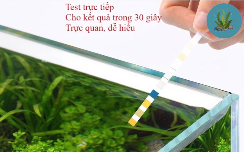 Bộ test nước hồ cá