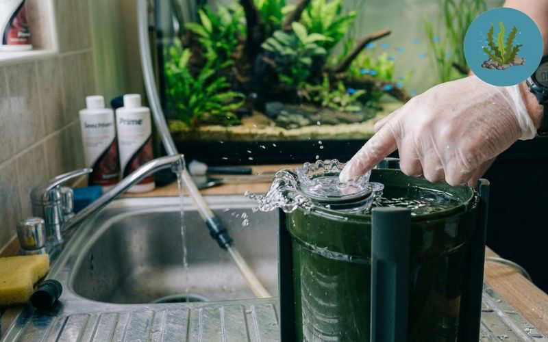 Cách sửa lỗi lọc váng bị kẹt khí