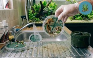 Cách sửa lỗi lọc váng bị kẹt khí