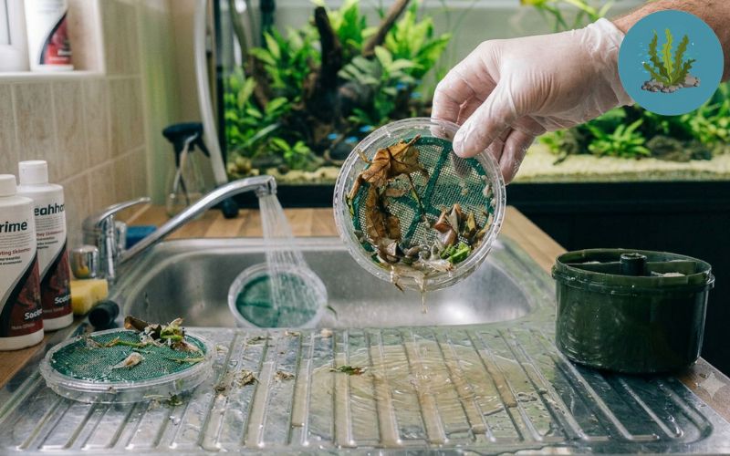 Cách sửa lỗi lọc váng bị kẹt khí