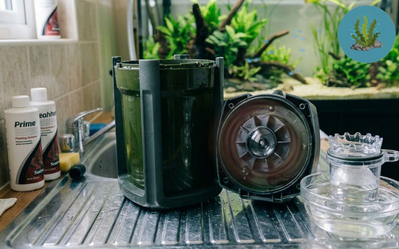 Cách sửa lỗi lọc váng bị kẹt khí