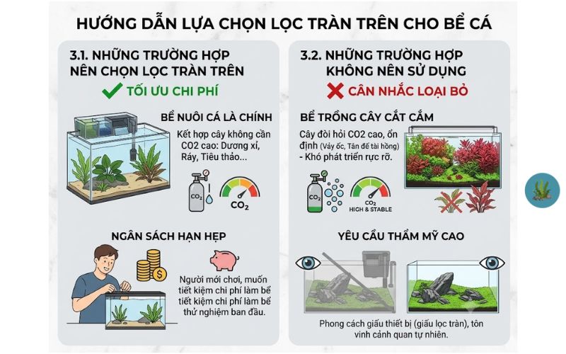 Có nên dùng lọc tràn trên cho bể thủy sinh