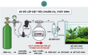 Đếm giọt CO2 bị sục ngược nước