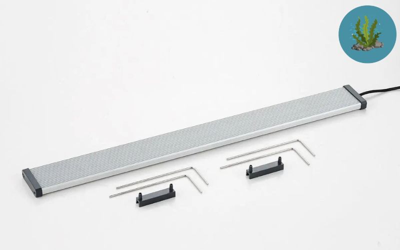 đèn LED RGB giá rẻ