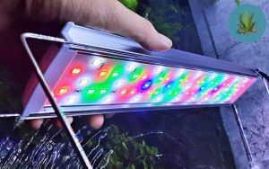 đèn LED RGB giá rẻ