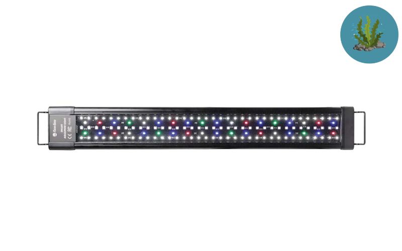đèn LED RGB giá rẻ