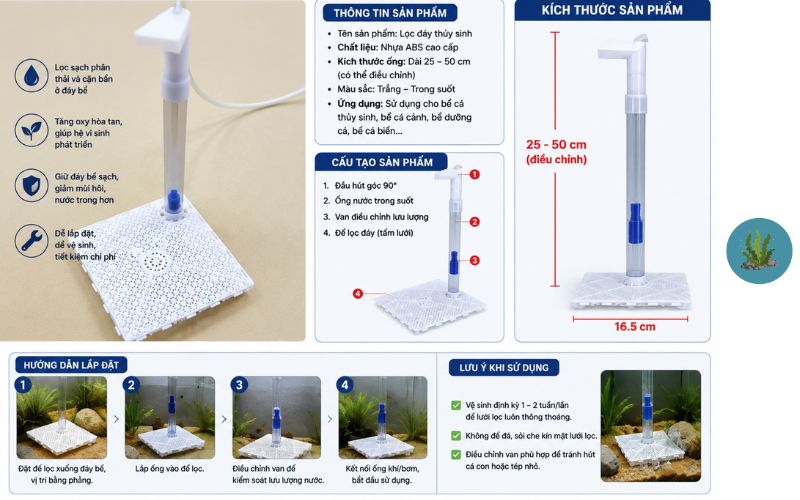 lọc đáy trong hồ nuôi tép cảnh