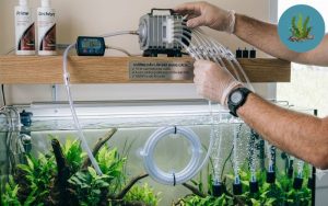 máy sủi Oxy bể cá bị yếu