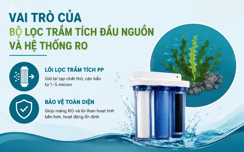 Bộ lọc trầm tích đầu nguồn RO cho thủy sinh
