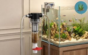 Bộ lọc trầm tích đầu nguồn RO cho thủy sinh