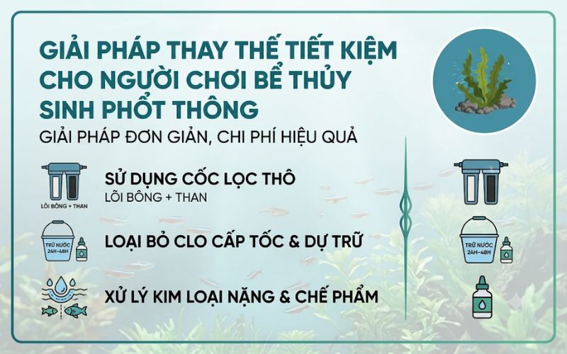 Bộ lọc trầm tích đầu nguồn RO cho thủy sinh