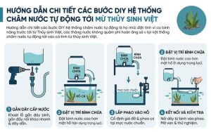 châm nước tự động hồ thủy sinh