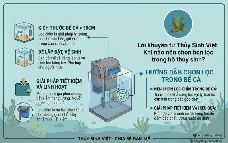 Lọc trong hồ thủy sinh