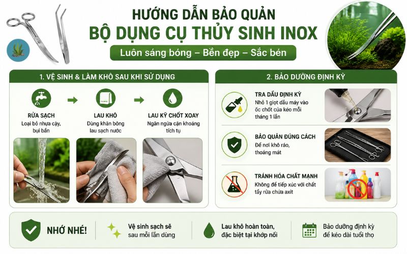 Nhíp và kéo cắt tỉa thủy sinh inox sóng Wave