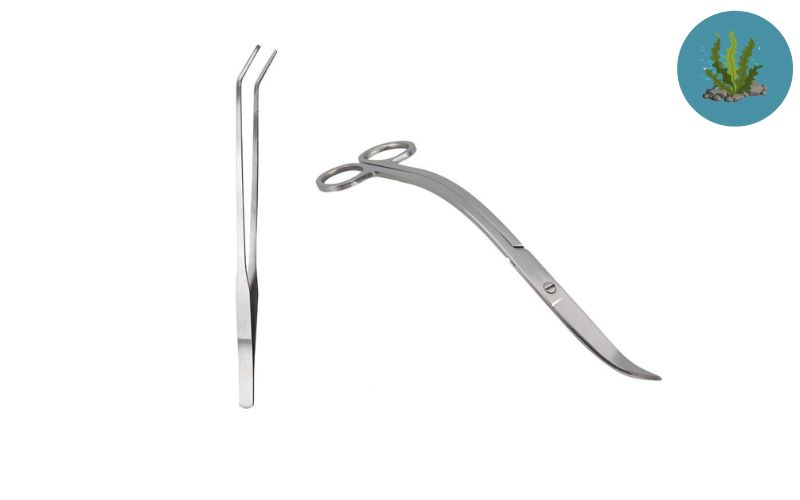 Nhíp và kéo cắt tỉa thủy sinh inox sóng Wave